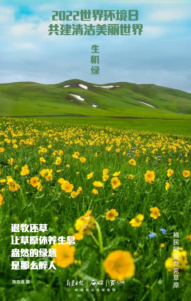 天下情况日组海报 明天来看新疆“环保色”