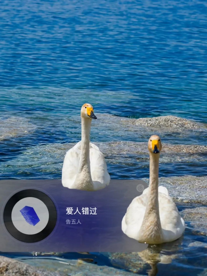 微信图片_20230303184639.jpg 图片