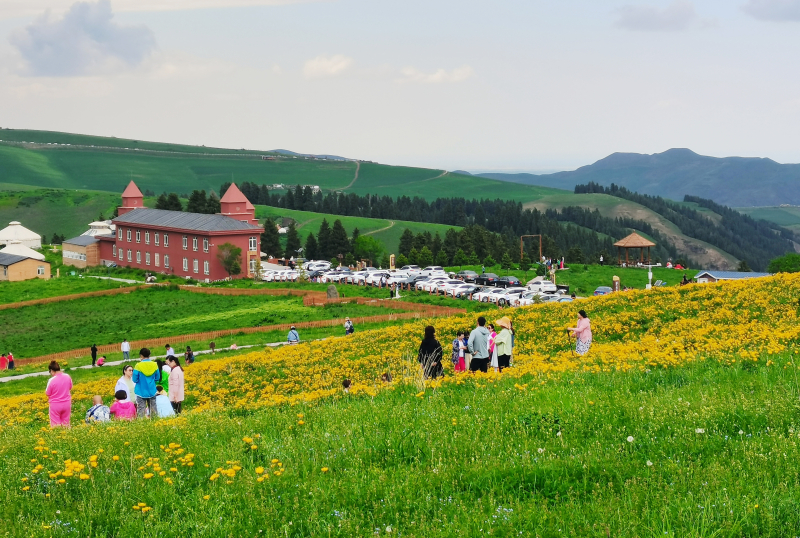 新疆青河县旅游景点图片