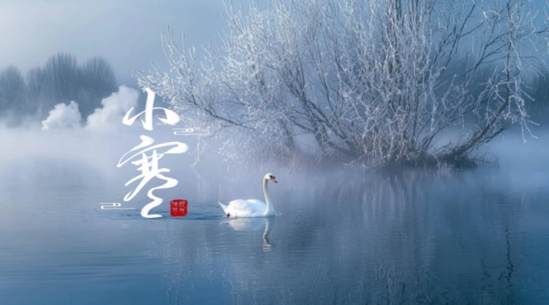 微信截图_20250104125802.png