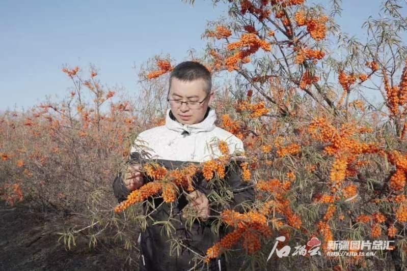 从一件旧军大衣到兵团精神的薪火相传