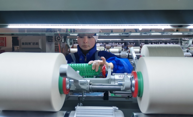 IMG_20241217_160250_edit_51322862365605