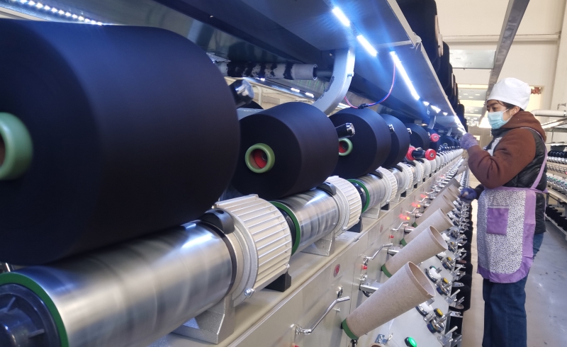 IMG_20241217_155425_edit_51464202313500