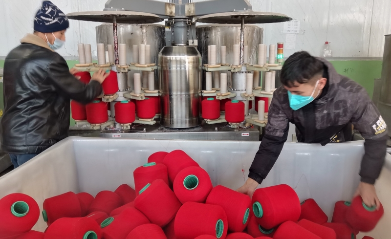 IMG_20241217_154013_edit_52723609543517